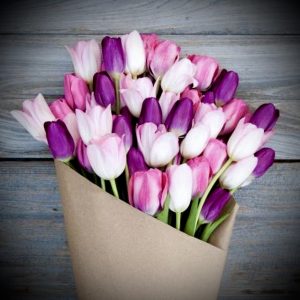 Abonament 25 Lalele două luni