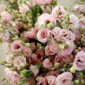 Abonament 9 Lisianthus două luni (1)