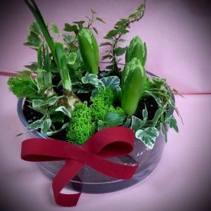 Aranjament cu Licheni