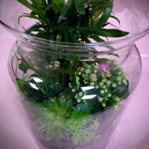 Terariu Little Forest (2)